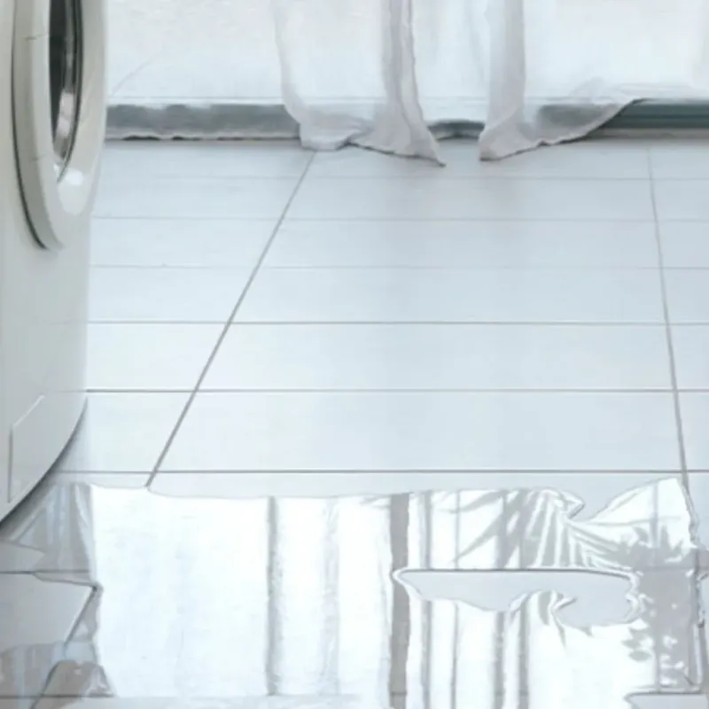 Appliance Leak Cleanup in La Jolla, CA