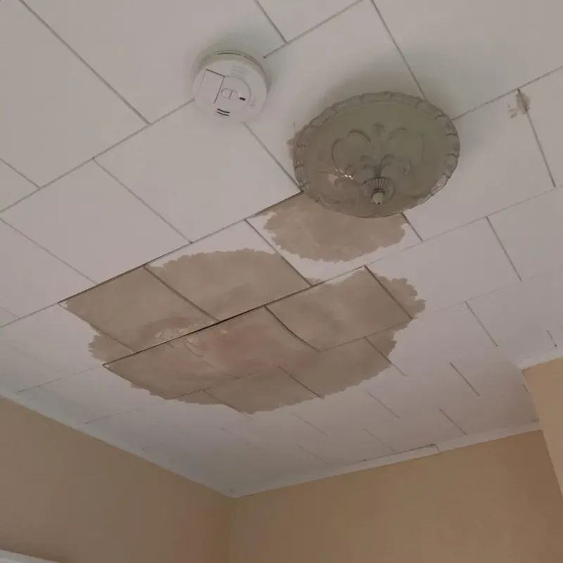 Ceiling Water Damage Repair in La Jolla, CA