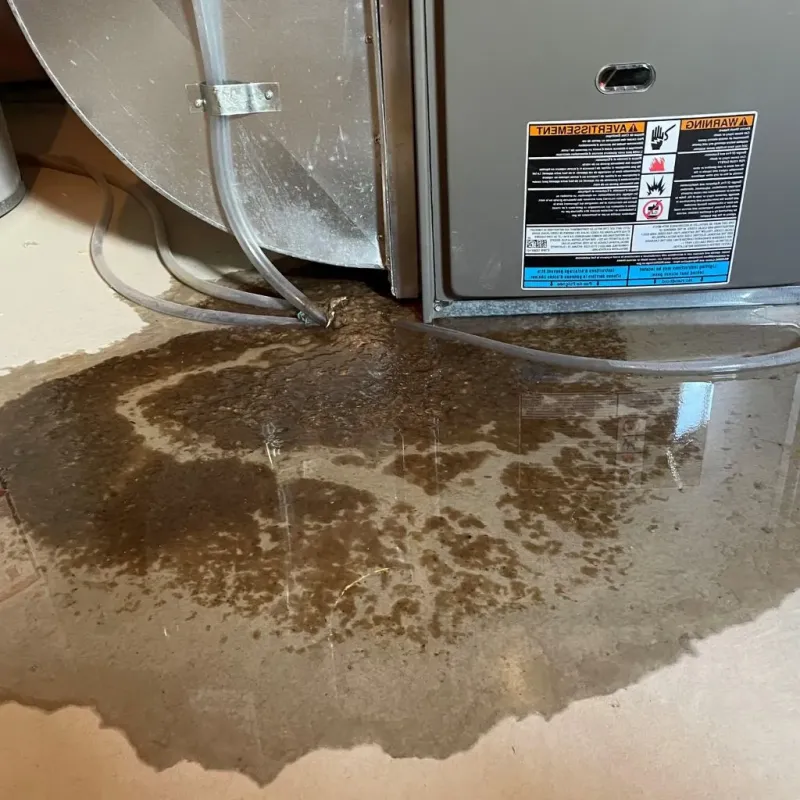 Pipe Burst and Leak Restoration in La Jolla, CA